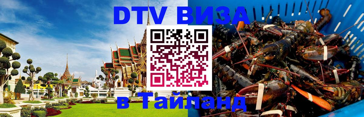 Сколько стоит DTV виза — актуальные цены, оформление даже без документов - Бразилиа  06.12.2025 